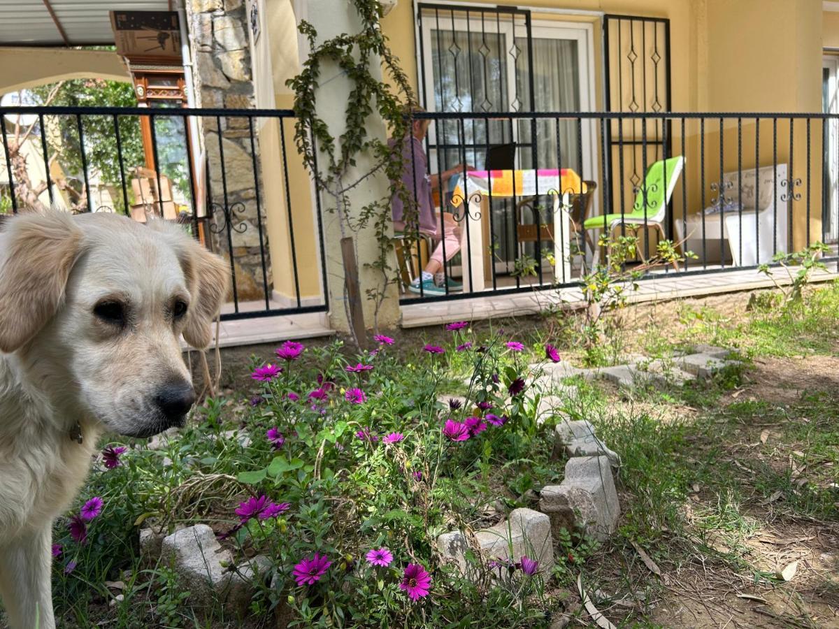 Cileks Apart Otel Fethiye Kültér fotó